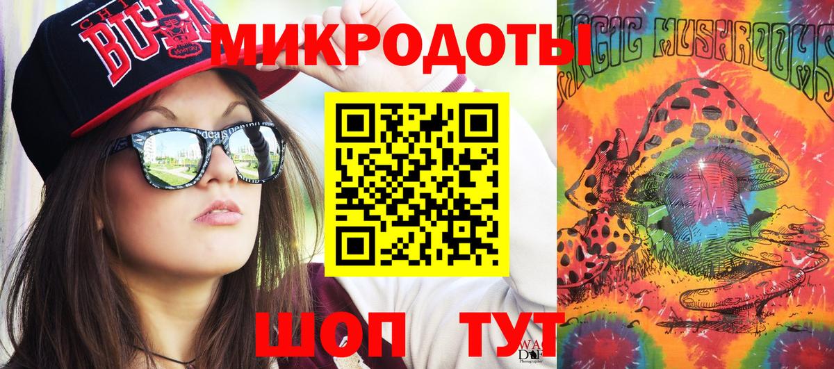 Псилоцибиновые грибы Psilocybe Петровск