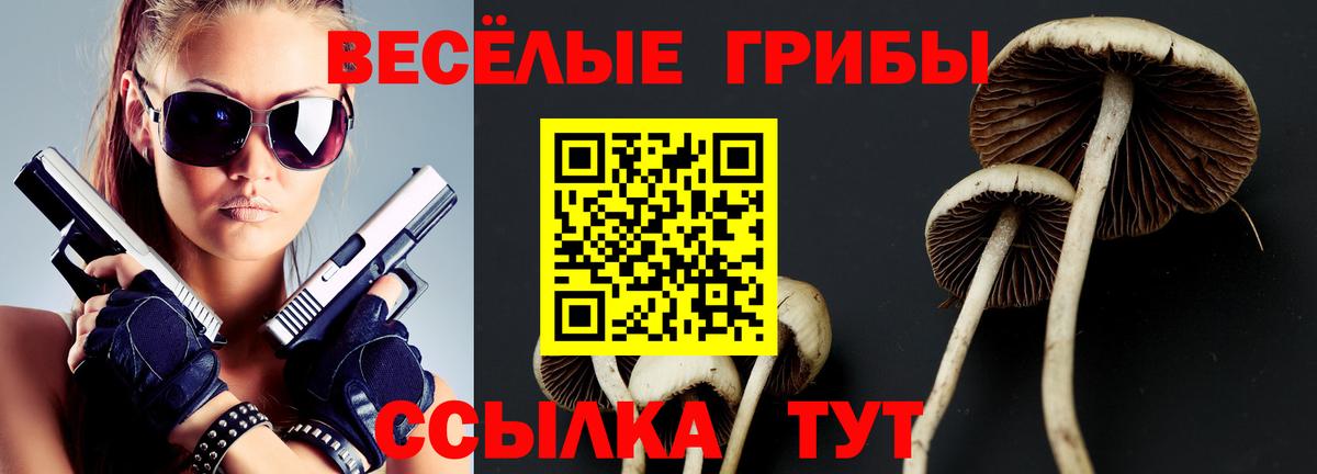 Псилоцибиновые грибы Psilocybe  Вход с VPN  Петровск  Псилоцибиновые грибы Psilocybe 